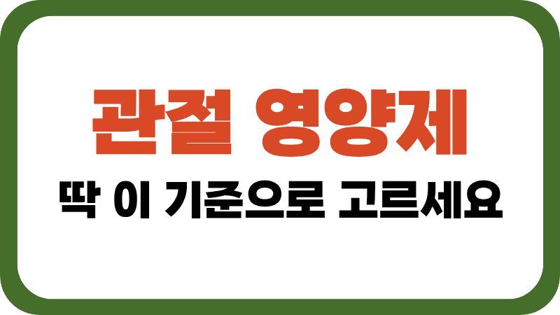 관절 영양제 선택 기준