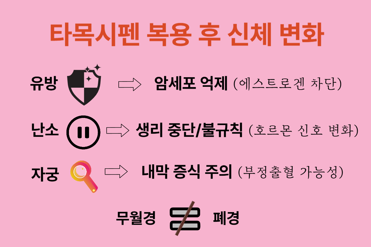 타목시펜 생리 변화