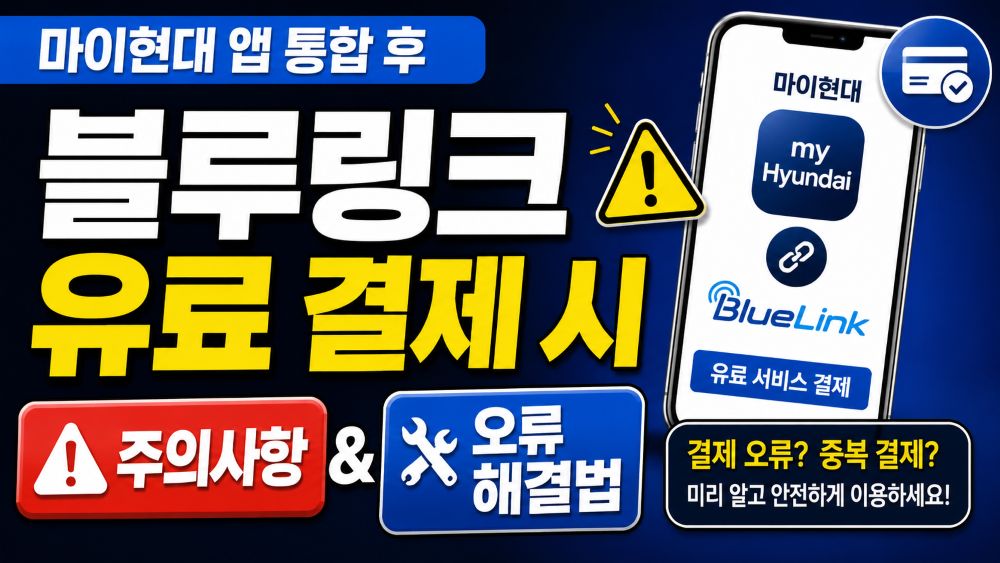 블루링크 유료결제시 오류해결
