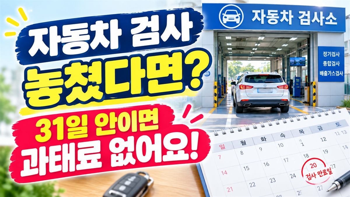자동차 검사 기간 놓쳤을 때 31일 안이면 과태료 없음